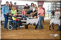 LCFair2016-2499.jpg