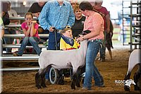 LCFair2016-2503.jpg