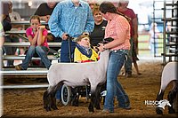 LCFair2016-2504.jpg