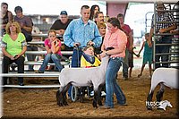 LCFair2016-2505.jpg