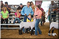 LCFair2016-2507.jpg