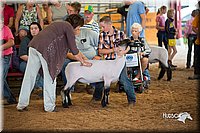 LCFair2016-2508.jpg