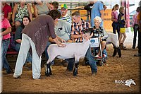 LCFair2016-2509.jpg