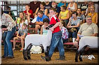 LCFair2016-2511.jpg