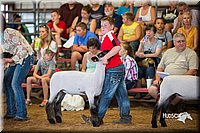 LCFair2016-2512.jpg