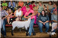 LCFair2016-2513.jpg