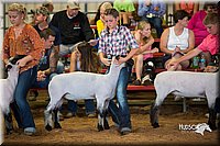 LCFair2016-2514.jpg