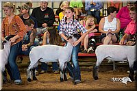 LCFair2016-2515.jpg