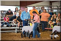 LCFair2016-2518.jpg