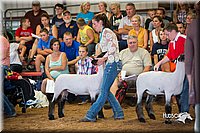 LCFair2016-2520.jpg