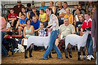 LCFair2016-2522.jpg