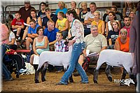 LCFair2016-2523.jpg