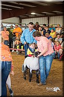 LCFair2016-2524.jpg