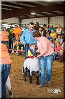 LCFair2016-2525.jpg