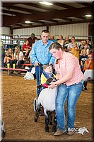 LCFair2016-2526.jpg