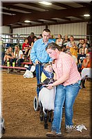 LCFair2016-2527.jpg