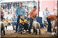 LCFair2016-2531.jpg