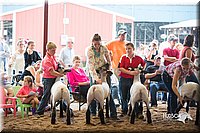 LCFair2016-2533.jpg