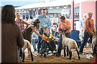 LCFair2016-2536.jpg