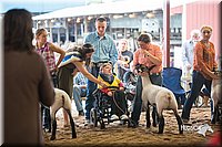 LCFair2016-2537.jpg