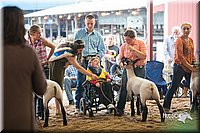 LCFair2016-2538.jpg