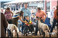 LCFair2016-2539.jpg