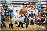 LCFair2016-2596.jpg