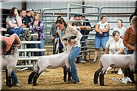 LCFair2016-2597.jpg