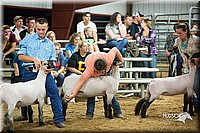 LCFair2016-2598.jpg