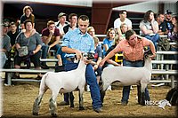 LCFair2016-2599.jpg