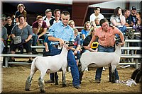 LCFair2016-2600.jpg