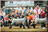 LCFair2016-2601.jpg