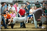 LCFair2016-2602.jpg