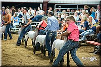 LCFair2016-2603.jpg