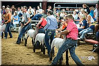 LCFair2016-2604.jpg