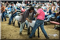 LCFair2016-2605.jpg