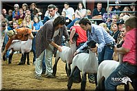 LCFair2016-2606.jpg