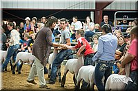 LCFair2016-2607.jpg