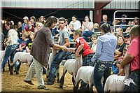 LCFair2016-2608.jpg