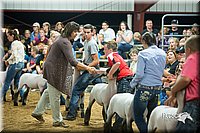 LCFair2016-2609.jpg