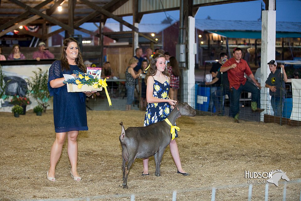 LCFair2016-2561.jpg