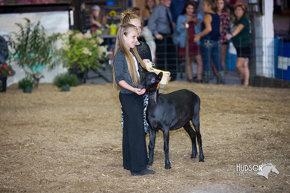 LCFair2016-2569.jpg