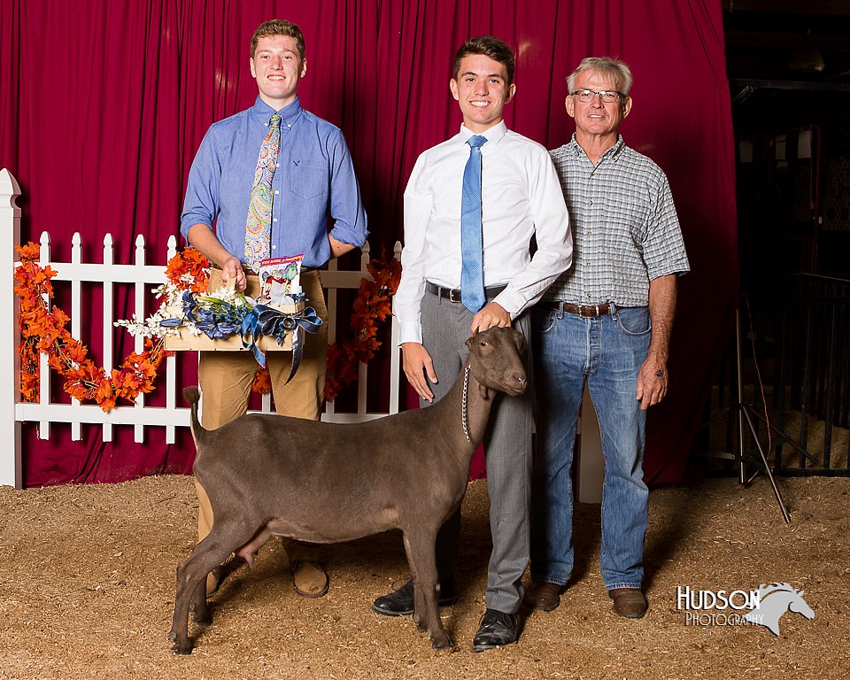 LCFair2016-2579.jpg
