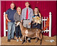 LCFair2016-2577.jpg