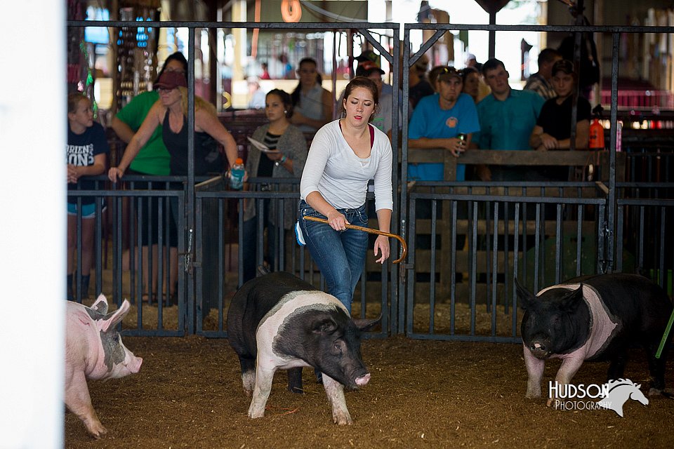 LCFair2016-2683.jpg