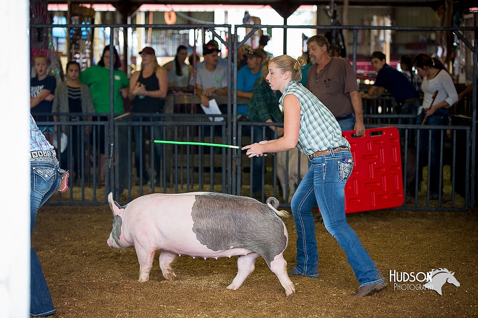 LCFair2016-2699.jpg