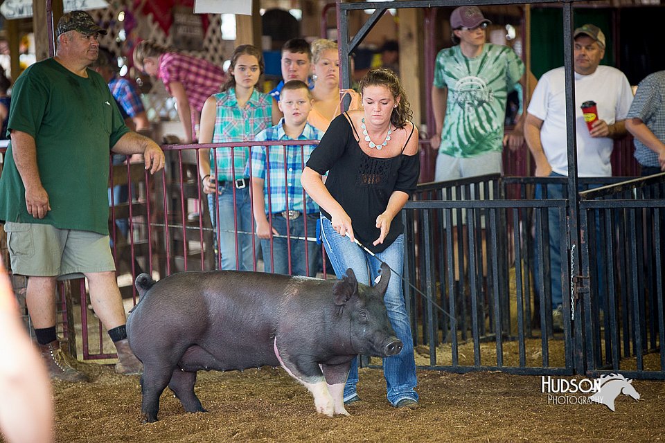 LCFair2016-2700.jpg