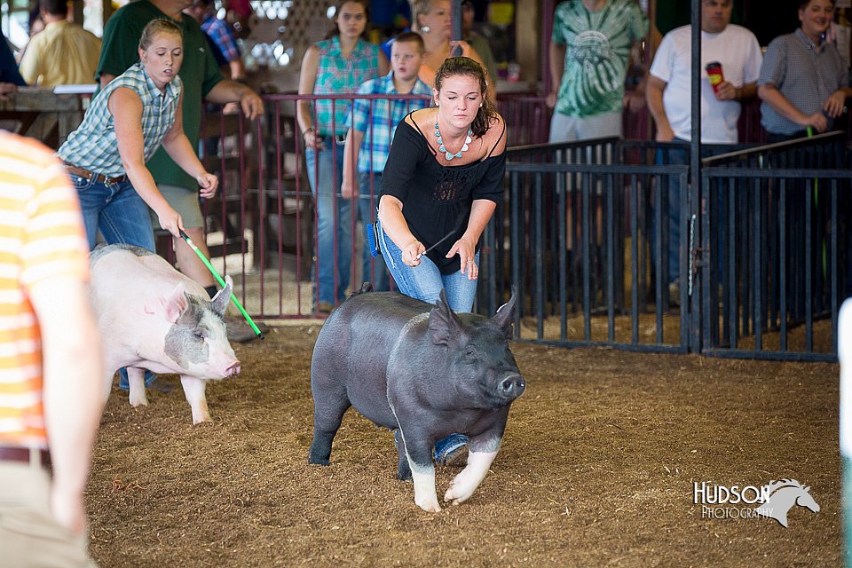 LCFair2016-2704.jpg
