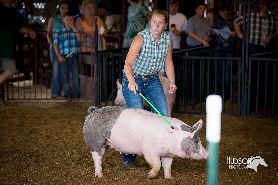 LCFair2016-2706.jpg