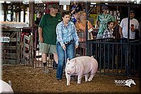LCFair2016-2692.jpg